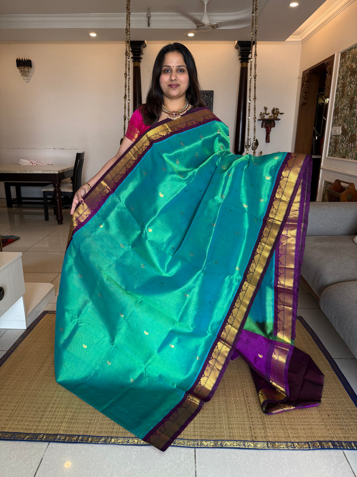 Greenish Blue with Purple Body Zari Mango butta, Traditional Borders and Rich Pallu Korvai Silk Cotton Saree