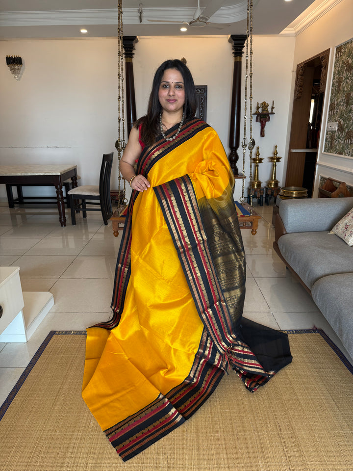 Mambazha Manjal With Black, Traditional Rich Kanchi Borders and Rich Pallu Korvai Silk Cotton Saree