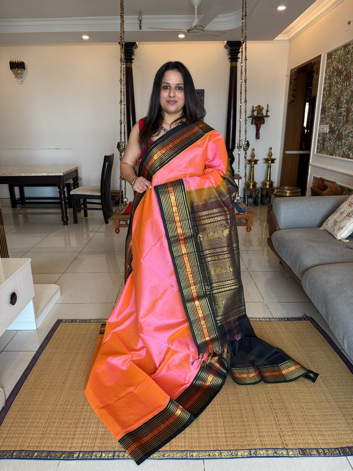 Peachish Pink with Black , Rich Big Traditional Kanchi Borders and Grand Pallu Korvai Silk Cotton Saree
