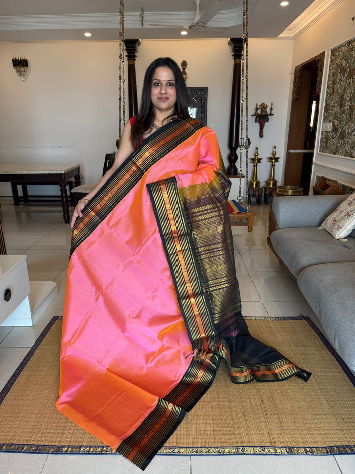 Peachish Pink with Black , Rich Big Traditional Kanchi Borders and Grand Pallu Korvai Silk Cotton Saree