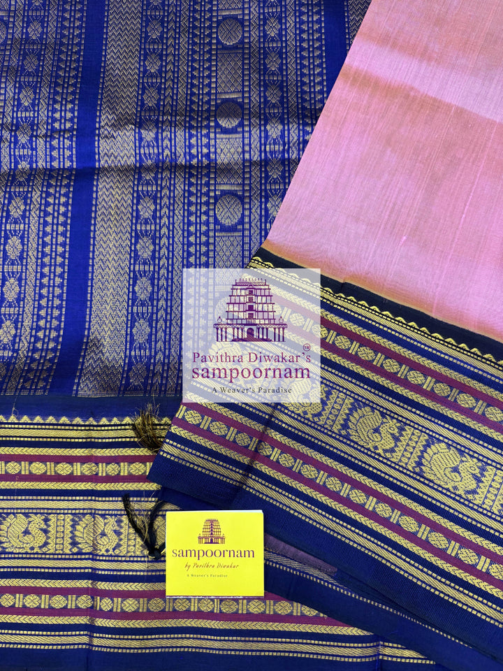 Muave with Indigo Blue, traditional Kanchi Borders and Grand Pallu Korvai Silk Cotton Saree