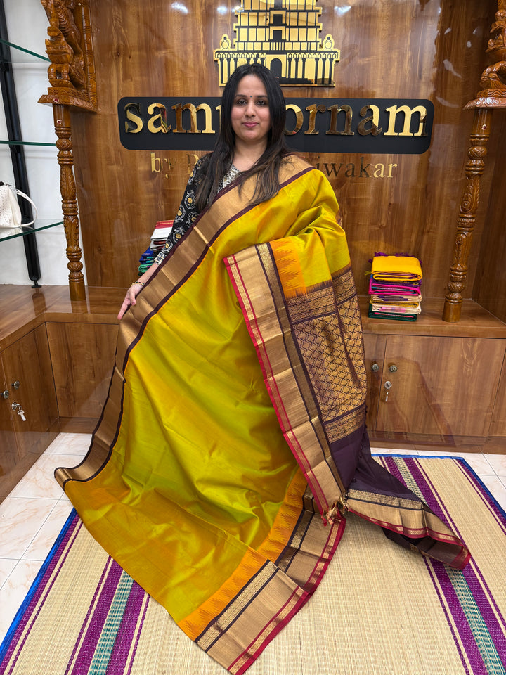 Manthulir Green with Brown, One Side Big Temple Border, Grand Pallu , Korvai Silk Cotton Saree
