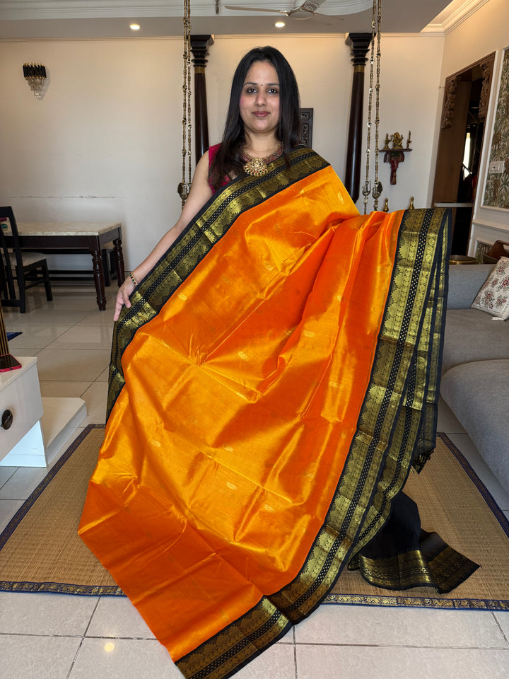 Mambazha Manjal with Black Lakshadeepam traditional borders ,zari butta in the body  and grand Pallu Korvai Silk Cotton Saree