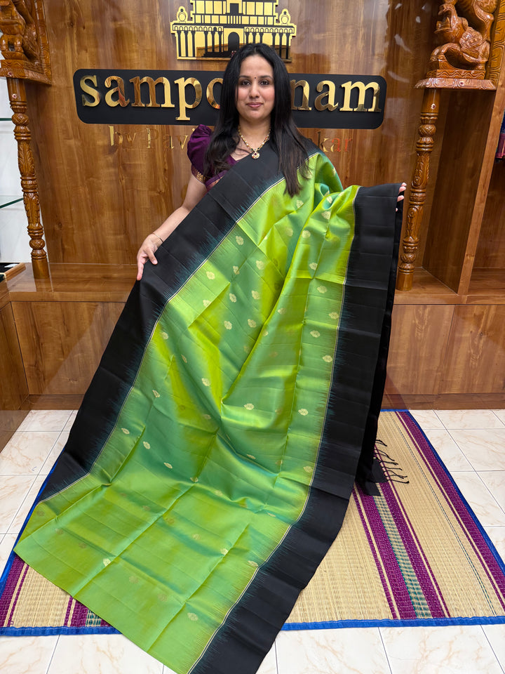 Pastel Green with Black , Rich Mango Zari Butta in the body and Grand Pallu Pure Soft Silk Saree