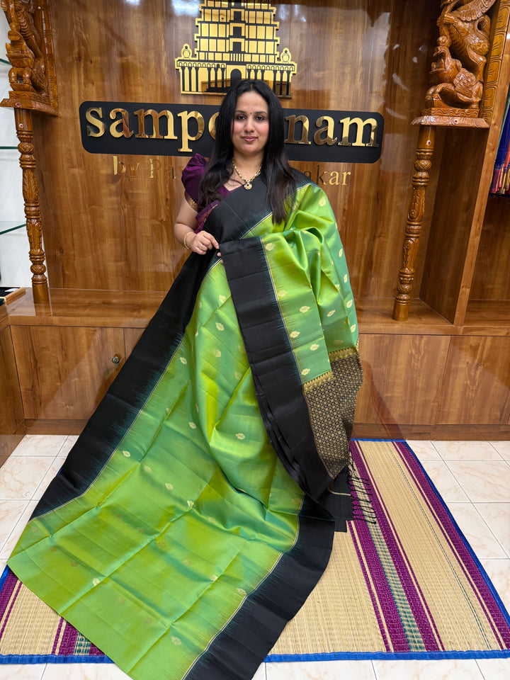 Pastel Green with Black , Rich Mango Zari Butta in the body and Grand Pallu Pure Soft Silk Saree