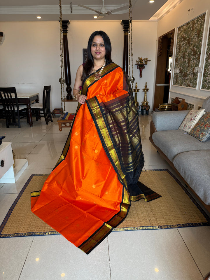 Orange with Black , rich elephant Zari motif in the body , traditional borders and rich Pallu  Korvai Silk Cotton Saree