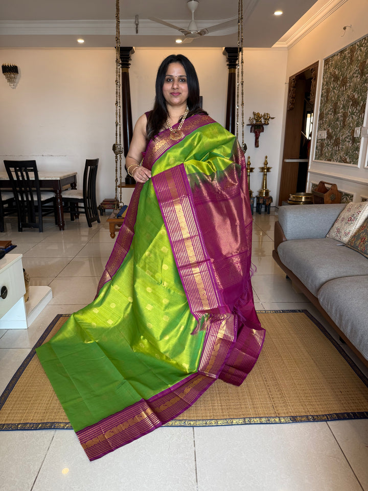 Parrot Green with Purple , rich Zari butta in the body , traditional rich Kanchi borders  and grand Pallu  Korvai Silk Cotton Saree