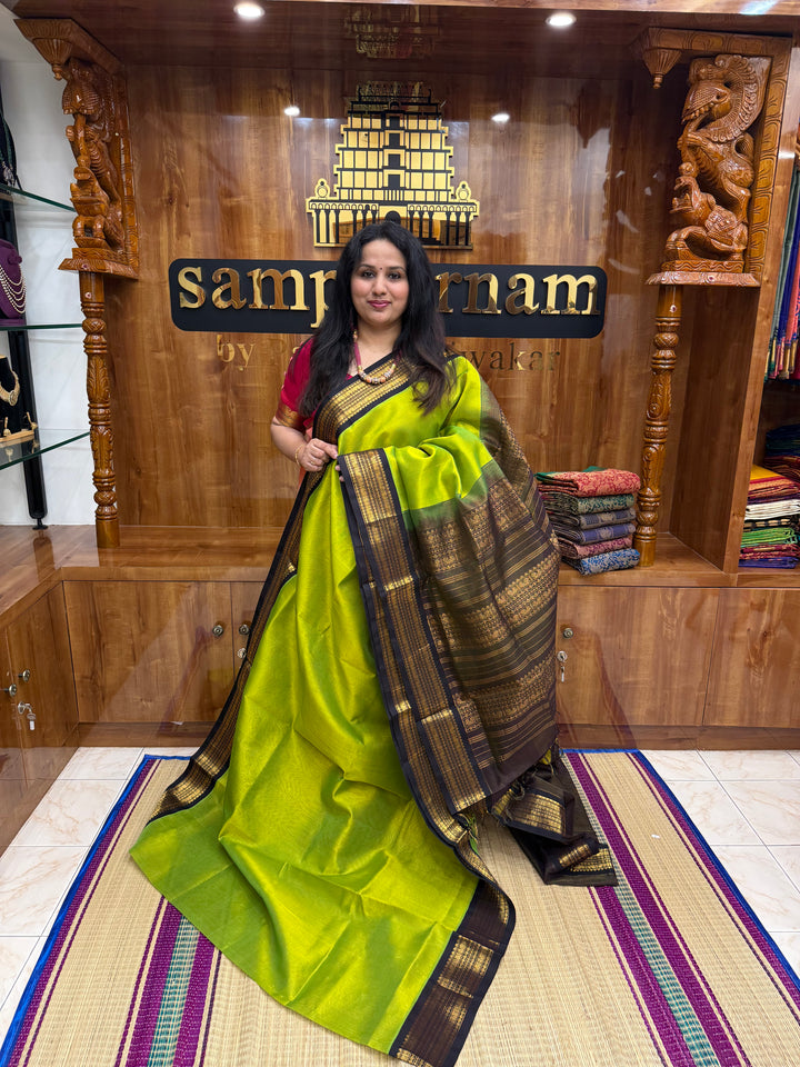 Sneha Green with Black , Vairaoosi Zari lines in the body ,  Traditional  borders and rich Pallu Korvai Silk Cotton Saree