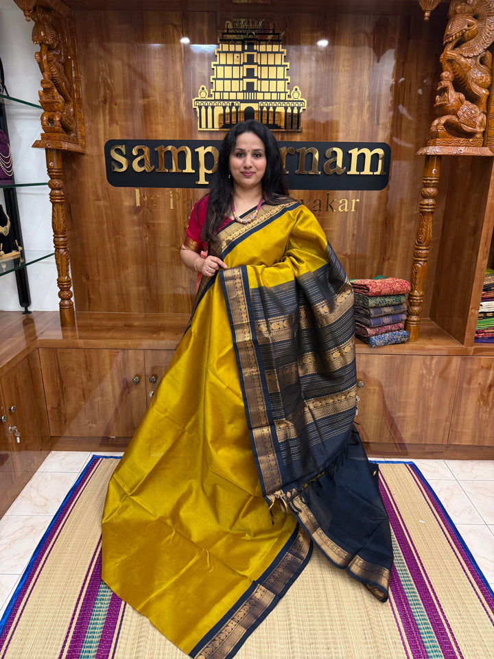 Mustard with Dark Blue , Traditional  borders and rich Pallu Korvai Silk Cotton Saree
