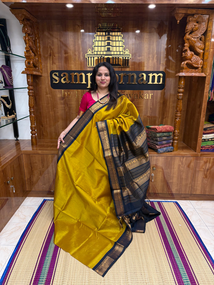 Mustard with Dark Blue , Traditional  borders and rich Pallu Korvai Silk Cotton Saree