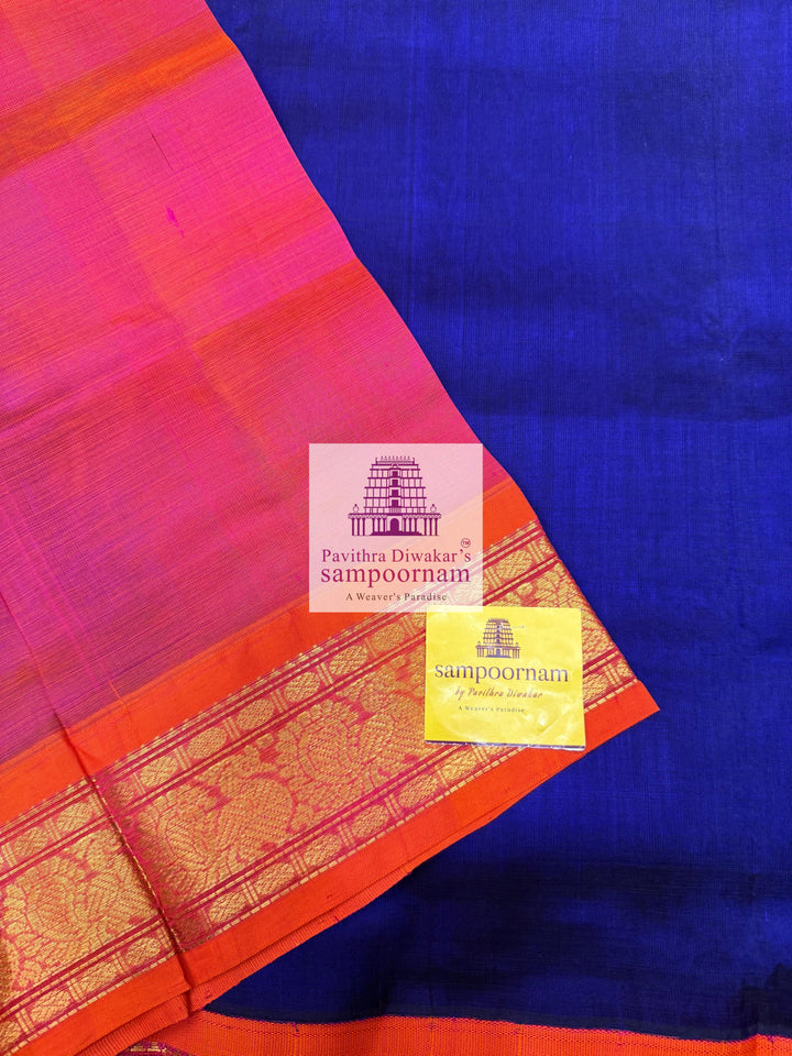 MS Blue with Orangish Pink , traditional borders and rich Pallu Korvai Silk Cotton Saree