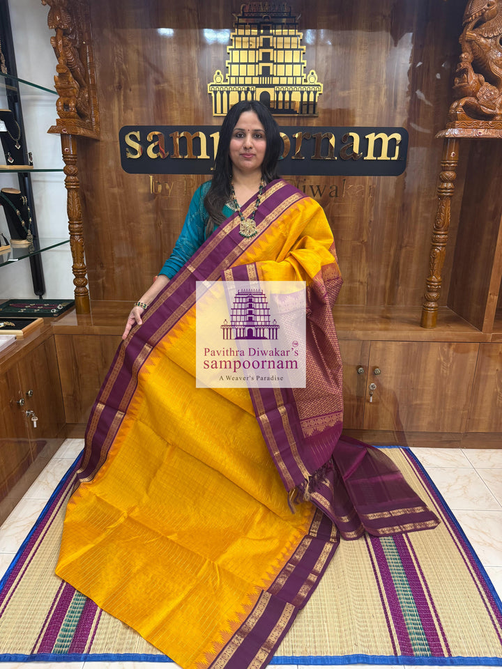 Mambazha Manjal with Araku Zari checks in the body , temple border and grand Pallu Korvai Silk Cotton Saree