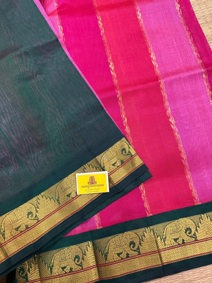 A Fusion of Colours Magenta and Pink with Green and Vertical Zari lines in the body with traditional borders and rich Pallu Korvai Silk Cotton Saree
