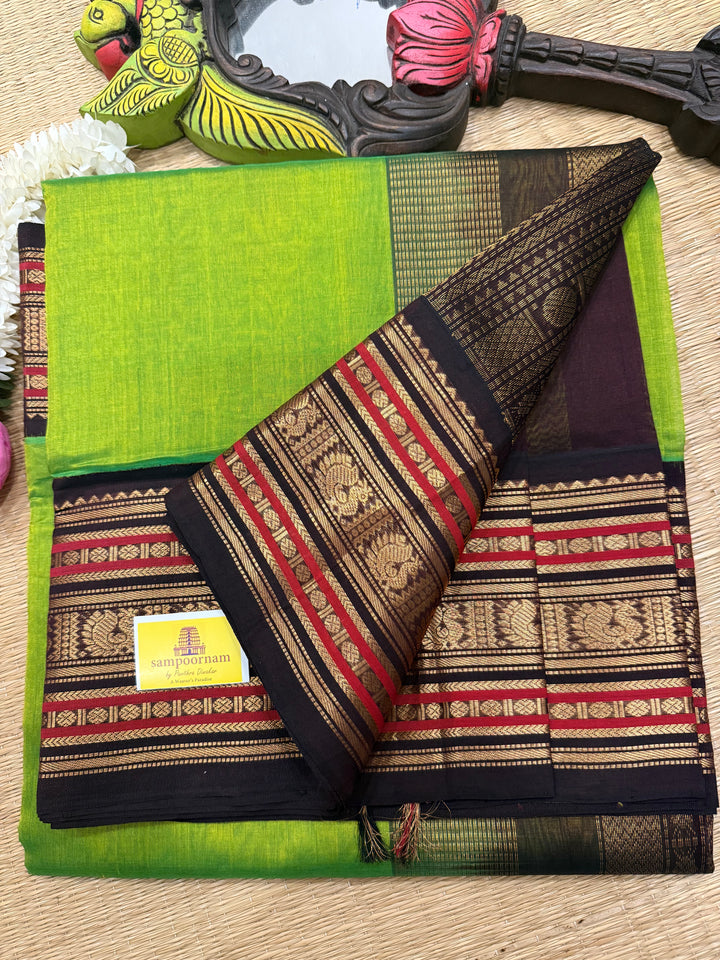 Parrot Green with Brown  rich Kanchi border and grand  Pallu Korvai Silk Cotton Saree