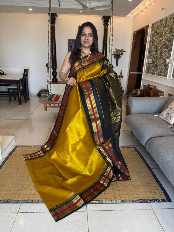 Mustard with Black ,rich Zari butta in the body , traditional rettapet temple thread borders and grand Pallu Korvai Silk Cotton Saree