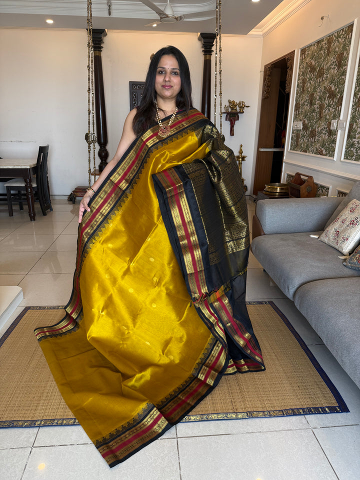 Mustard with Black ,rich Zari butta in the body , traditional rettapet temple thread borders and grand Pallu Korvai Silk Cotton Saree