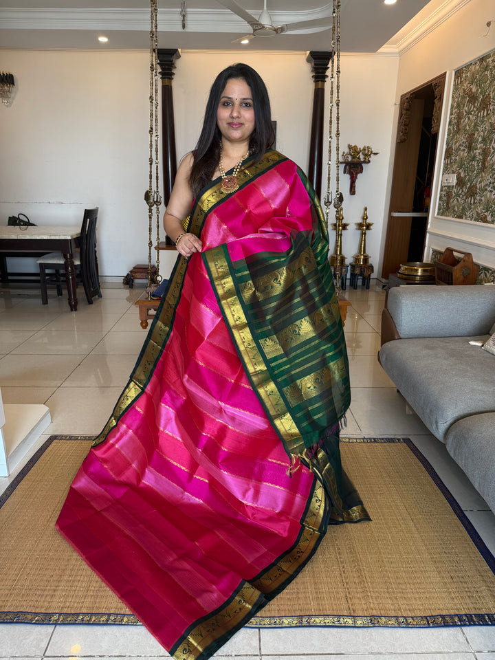A Fusion of Colours Magenta and Pink with Green and Vertical Zari lines in the body with traditional borders and rich Pallu Korvai Silk Cotton Saree