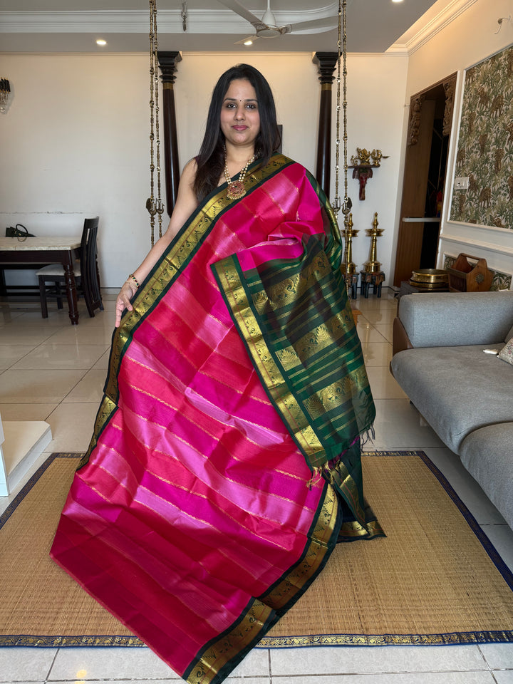 A Fusion of Colours Magenta and Pink with Green and Vertical Zari lines in the body with traditional borders and rich Pallu Korvai Silk Cotton Saree