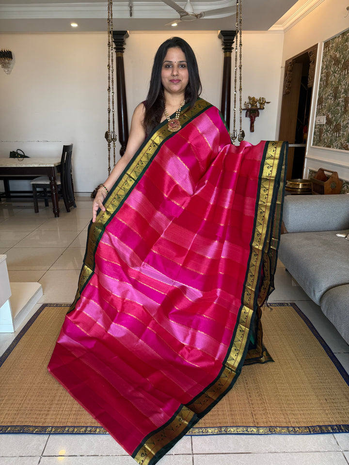 A Fusion of Colours Magenta and Pink with Green and Vertical Zari lines in the body with traditional borders and rich Pallu Korvai Silk Cotton Saree