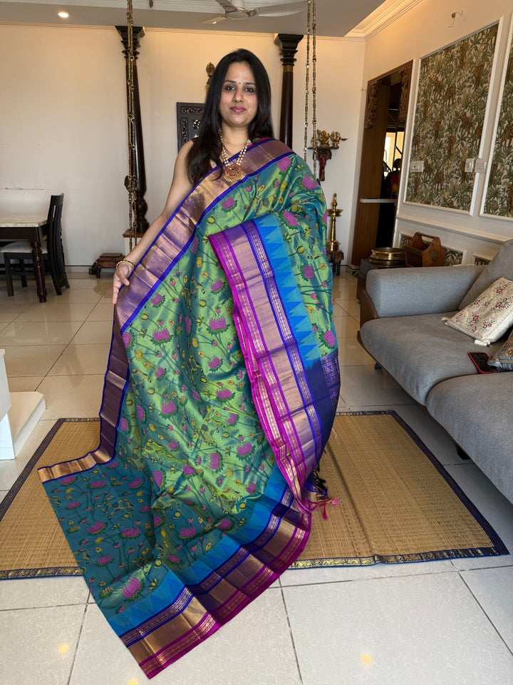 Mayilkazhuthu with Blue , Triple colour one side big Temple border , Pichwai printed Korvai Silk Cotton Saree