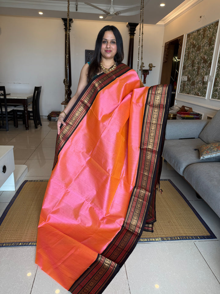 Baby Pink with Brown Rich Kanchi Borders and Traditional Grand Pallu Korvai Silk Cotton Saree