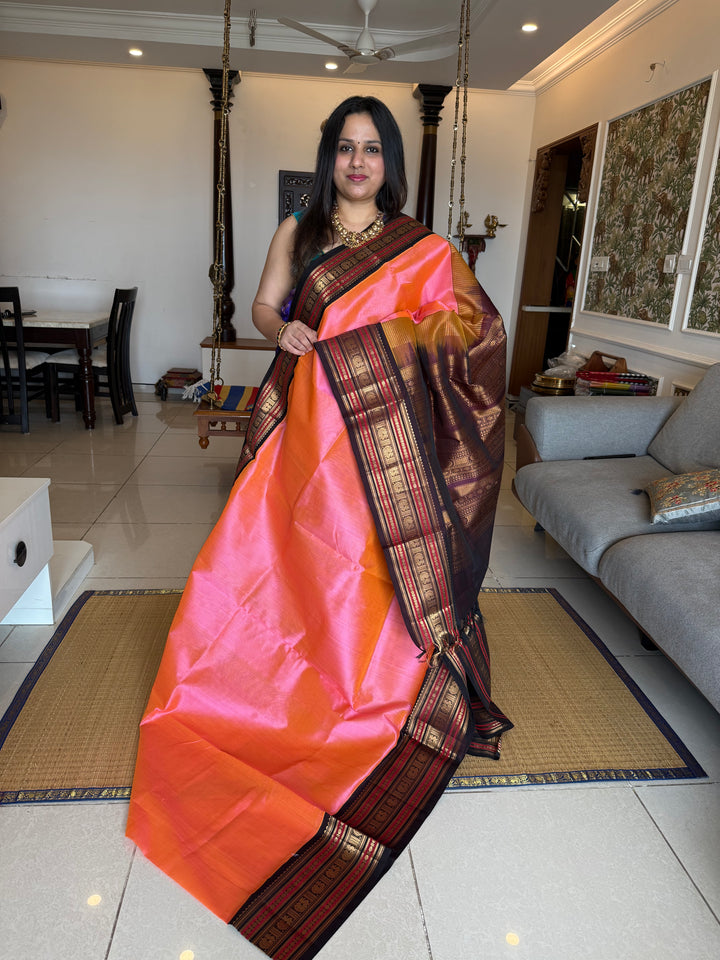 Baby Pink with Brown Rich Kanchi Borders and Traditional Grand Pallu Korvai Silk Cotton Saree