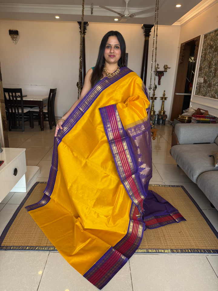 Mambazha Manjal with Blue Traditional Borders and Rich Pallu Korvai Silk Cotton Saree