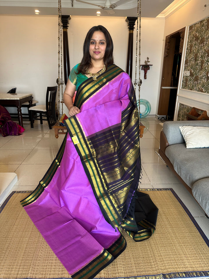 Lavender with Black Korvai Silk Cotton Saree