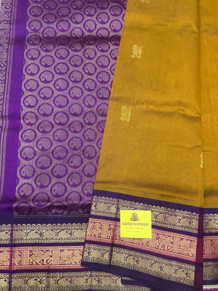 Mustard with Purple, Rich Mango Zari butta in the body and Traditional Kanchi borders & Grand Pallu, Korvai Silk Cotton Saree