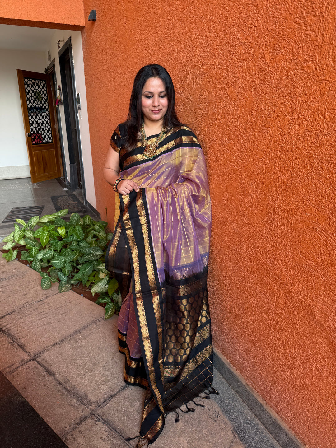 Lavender Gold with Black , Zari checks in the body , Rettapet Border and rich Pallu Korvai Silk Cotton Saree ,