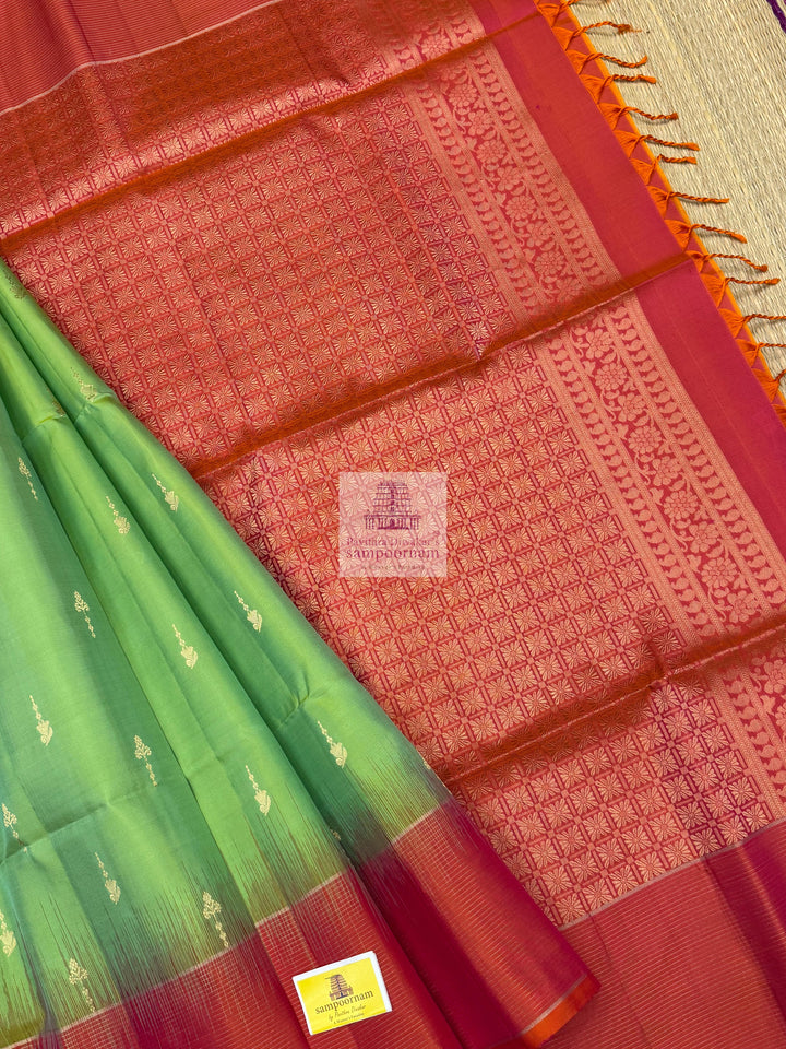 Pastel Green with Orangish Pink , Vairaoosi lines in the border , rich butta in the body Mambazha Manjal with Black , one side big border , rich Zari butta in the body and grand  Pallu Pure Soft Silk Saree