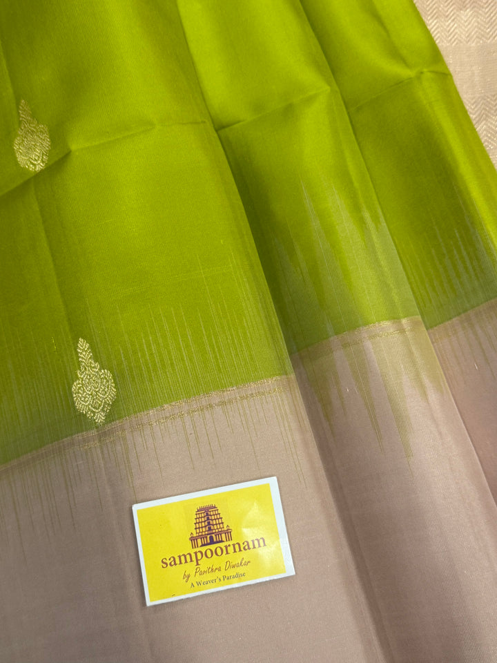 Light Green with Beige rich zari butta in the body , plain borders and rich Pallu , pure soft silk saree