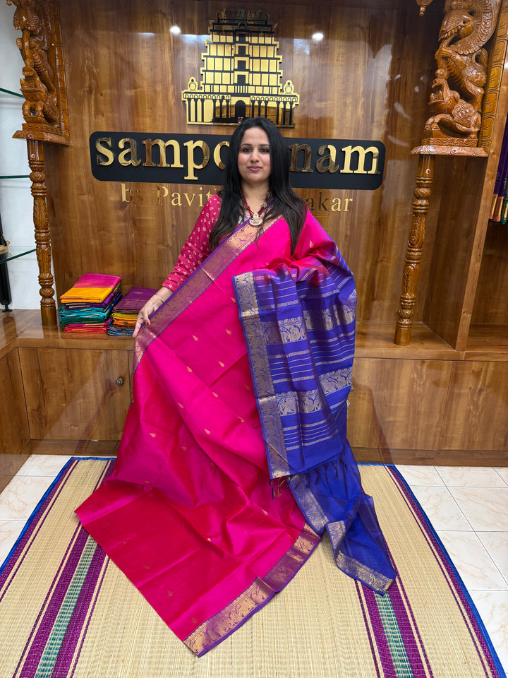 Pink with Indigo Blue  , rich Thilagam Zari butta in the body , Traditional Big Borders and rich Pallu  Silk Cotton Saree
