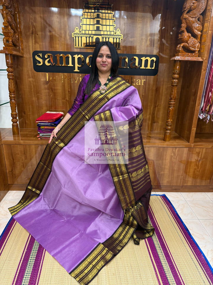 Lavender with Brown , Kanchi traditional borders and rich Pallu Korvai Silk Cotton Saree