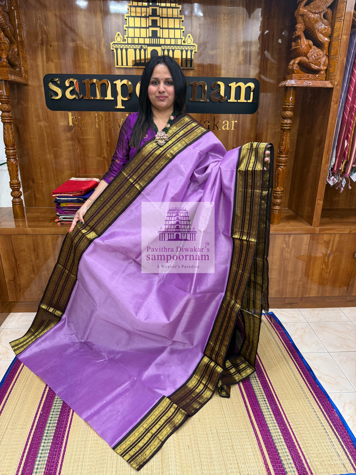 Lavender with Brown , Kanchi traditional borders and rich Pallu Korvai Silk Cotton Saree