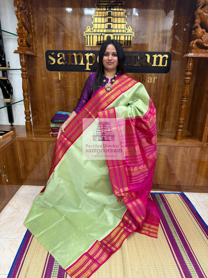 Pastel Green with Pink , Kanchi traditional borders and rich Pallu Korvai Silk Cotton Saree