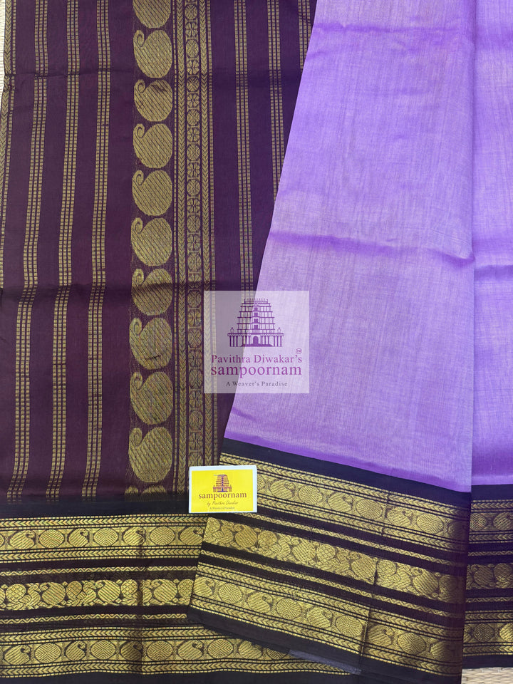 Lavender with Brown , Kanchi traditional borders and rich Pallu Korvai Silk Cotton Saree