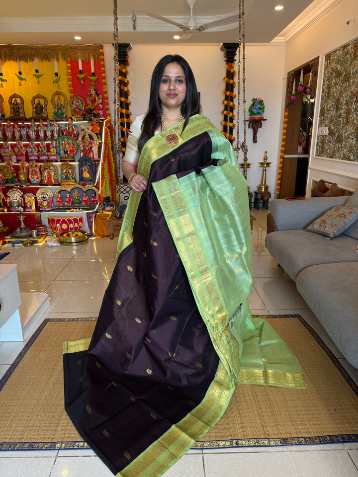 Dark Brown with Pastel Green , Lakshadeepam borders and rich Pallu , Zari butta in the body Korvai Silk Cotton Saree