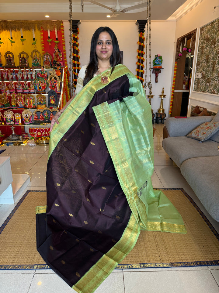 Dark Brown with Pastel Green , Lakshadeepam borders and rich Pallu , Zari butta in the body Korvai Silk Cotton Saree