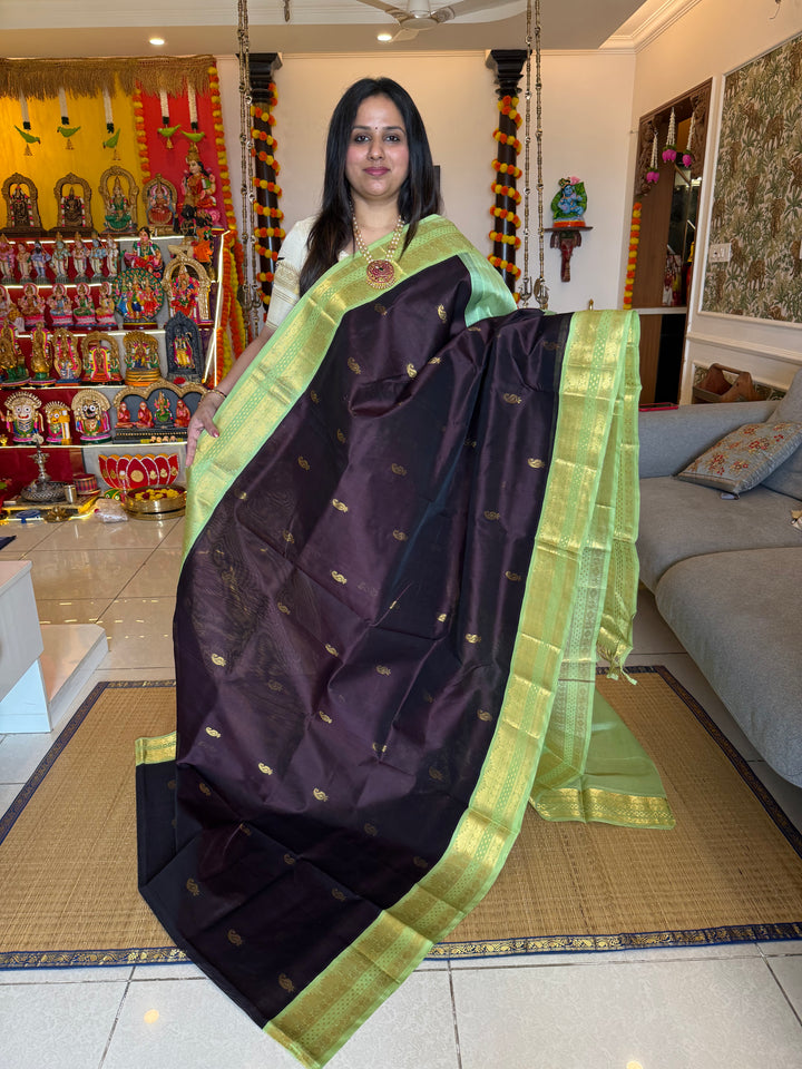Dark Brown with Pastel Green , Lakshadeepam borders and rich Pallu , Zari butta in the body Korvai Silk Cotton Saree