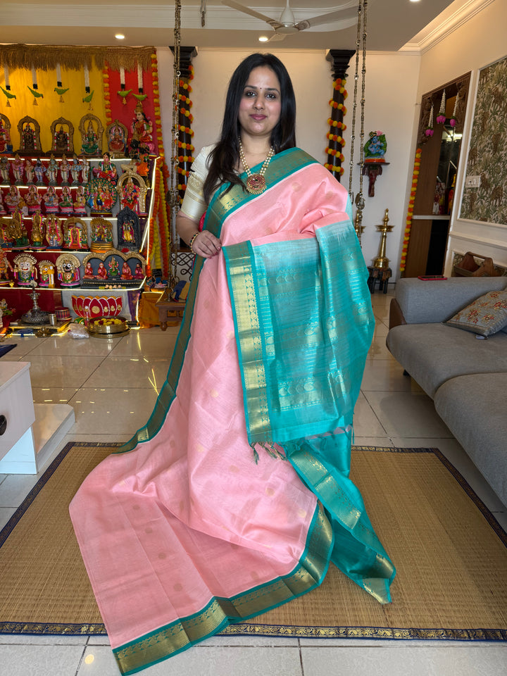Baby Pink with Turquoise Blue rich body butta , traditional borders and rich  Pallu Korvai Silk Cotton Saree