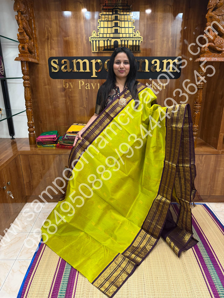 Maanthulir with Arakku , rich Zari Podi Kattam with Mango butta in the body , traditional Kanchi border and rich Pallu Korvai Silk Cotton Saree